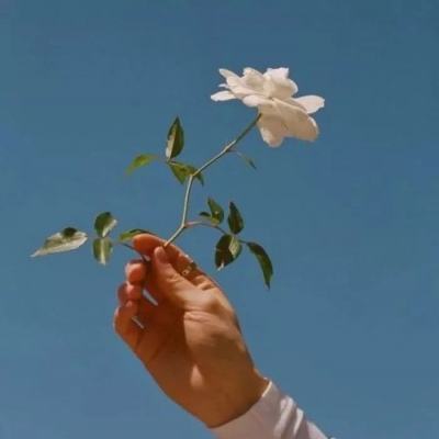 商道高手手游官方版下载