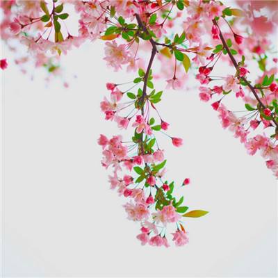 江湖悍刀行内购破解版下载